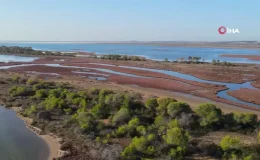 Bakan Yumaklı: “11 bin 284 yaban hayvanını tedavi edip doğal yaşam alanlarına bıraktık”