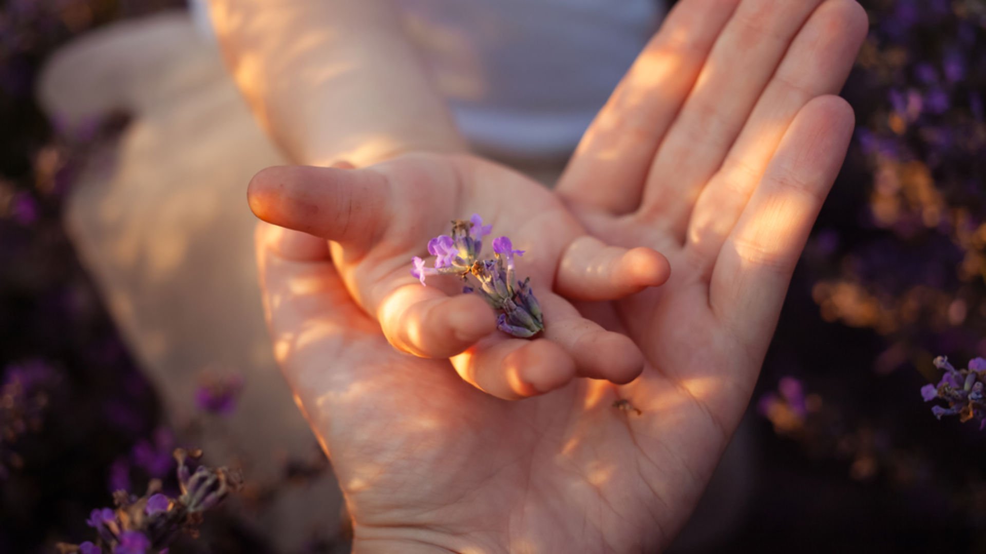 Bugün Dünya Çocuk Hakları Günü!